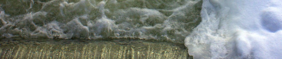Speed River Journal