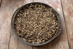 Ground dandelion roots