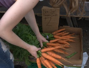 New Ontario carrots